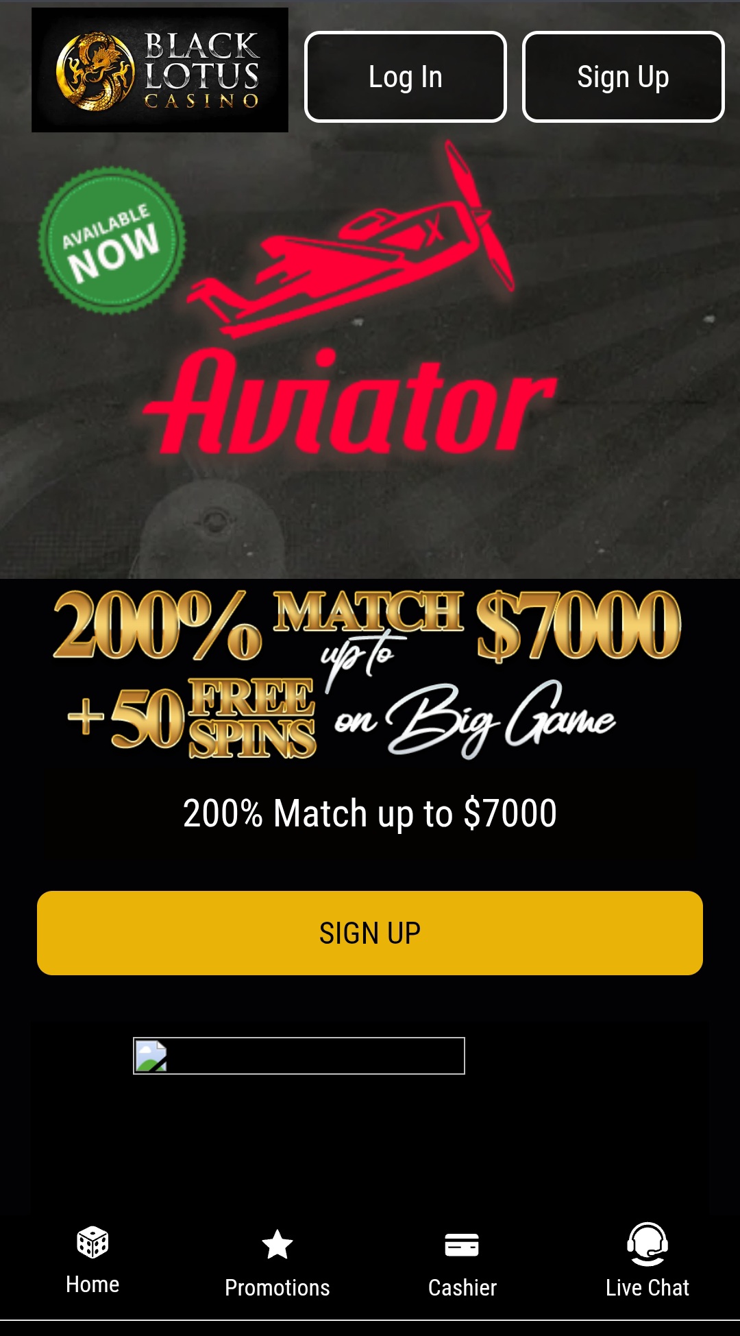 Progressive Jackpots