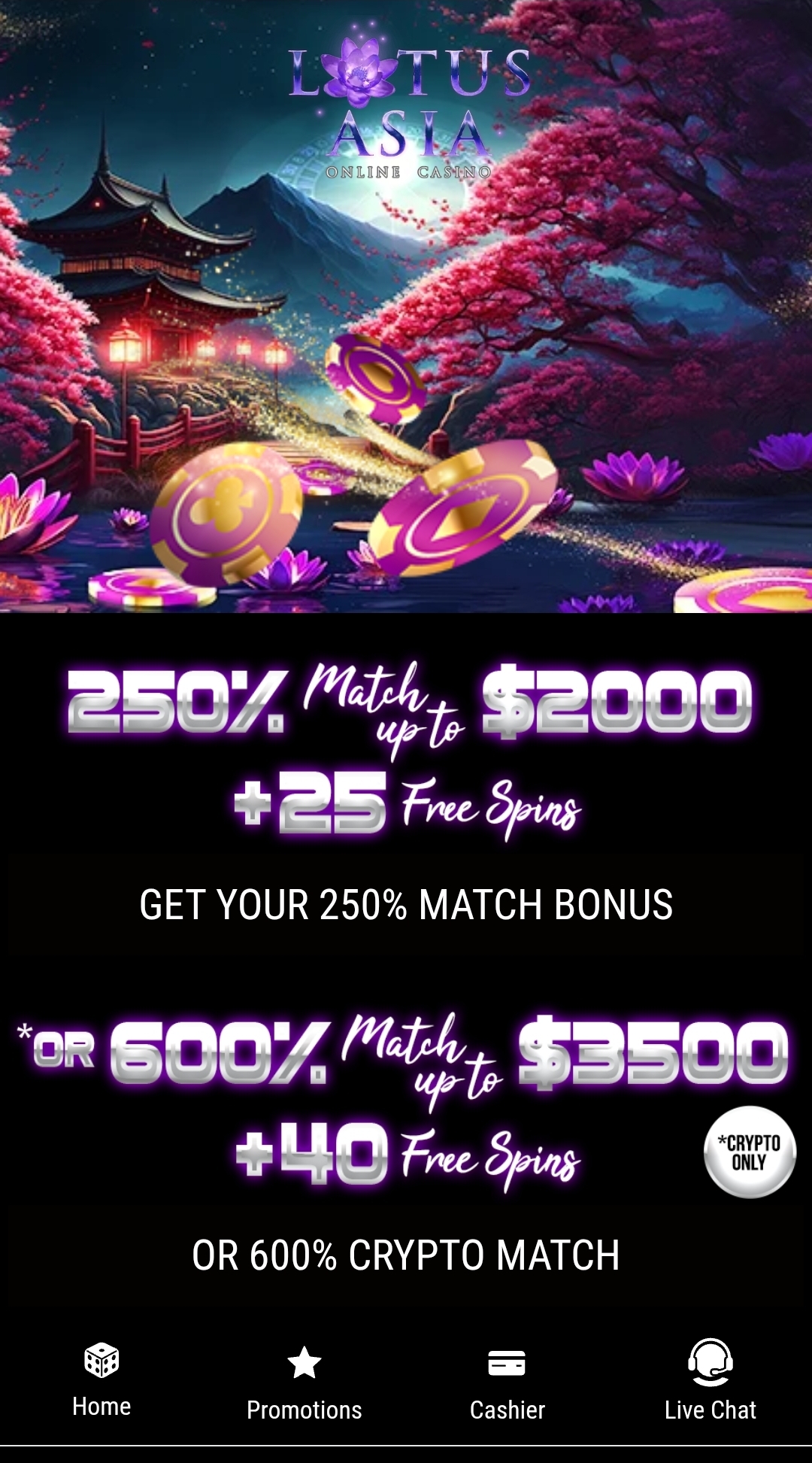 250% Bonus Promotion