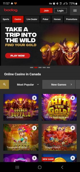 Bodog APK Free Download for Android App