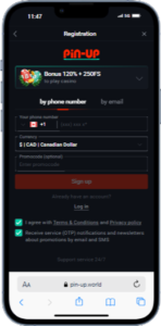 Pin-Up Casino App Welcome Bonus Offer signup